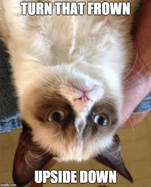 Grumpy Cat Meme Imgflip