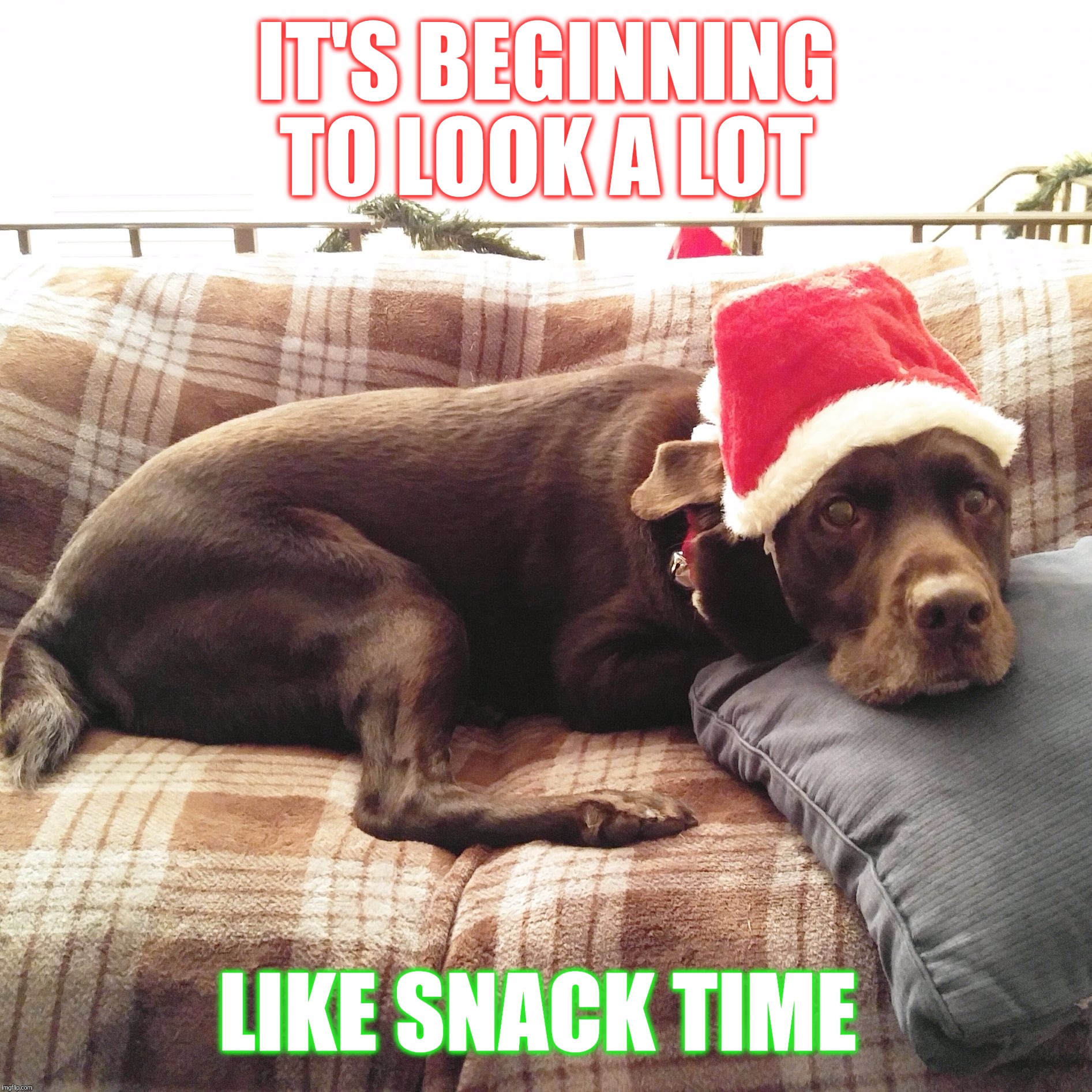 It's beginning to look a lot like snack time Imgflip