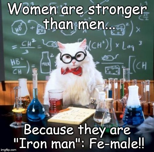 Chemistry Cat Meme Imgflip