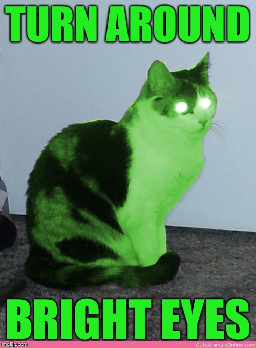 Once upon a time there was light in my life... Imgflip