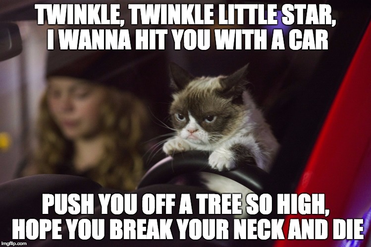 grumpy cat driving Imgflip
