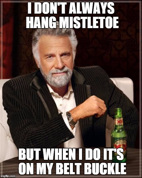 Where Mistletoe Should always be hung Imgflip
