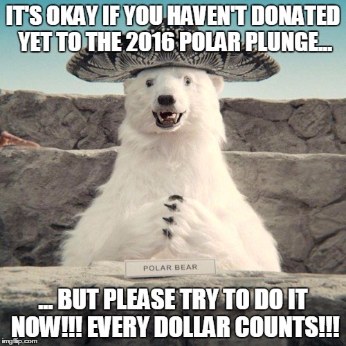 Sombrero Polar Bear Avocados commercial Imgflip