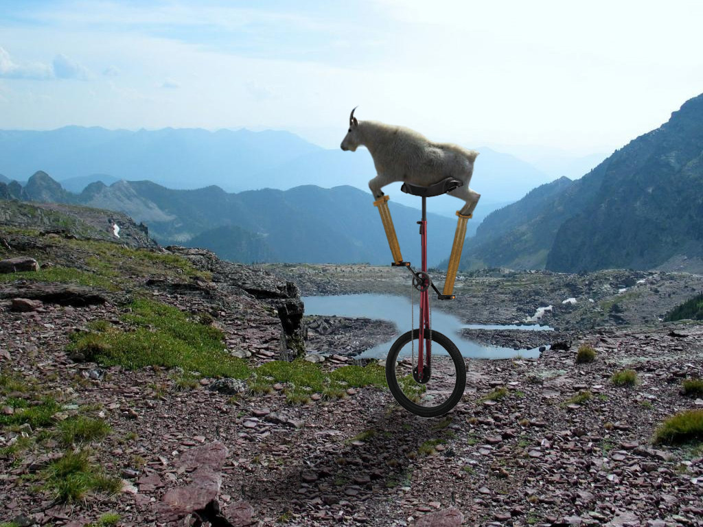 Goat on a unicycle Blank Template Imgflip