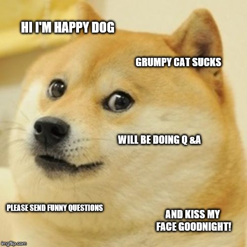 Doge Meme Imgflip