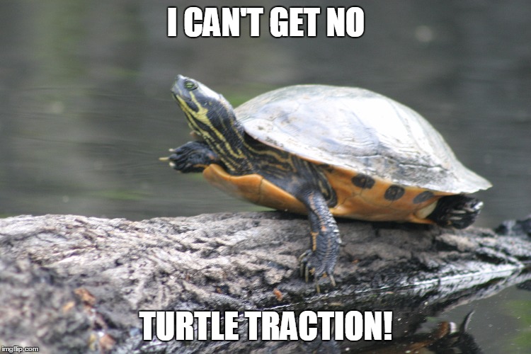 turtle meme Memes & GIFs Imgflip