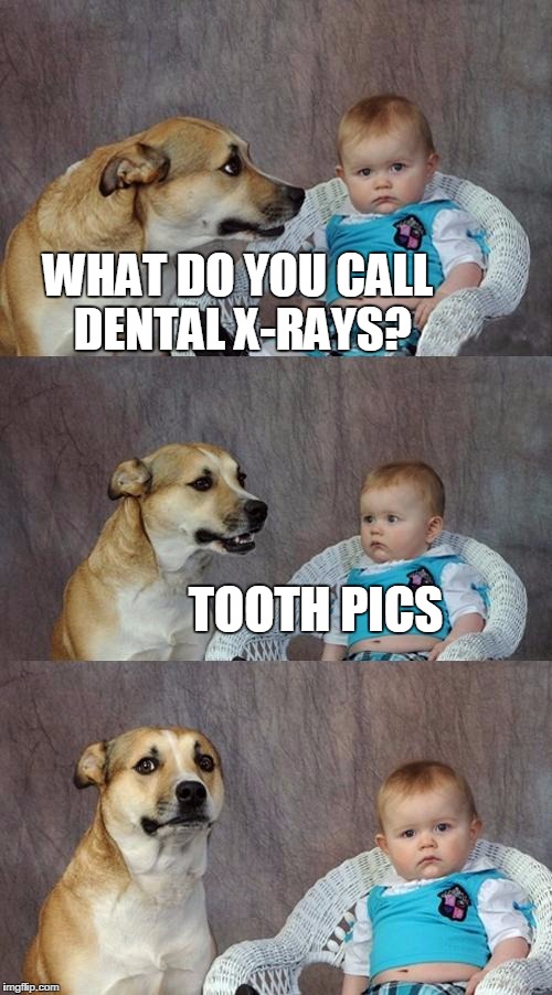 Dad Joke Dog Meme Imgflip