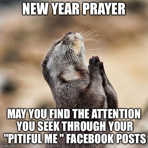 Praying Otter Imgflip