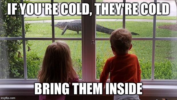 Bring Them Inside Imgflip
