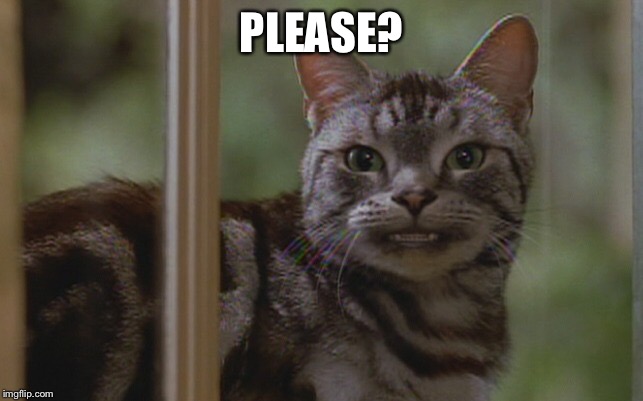 Please? Imgflip