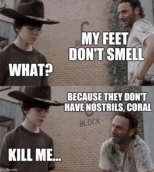 Rick and Carl Meme Imgflip