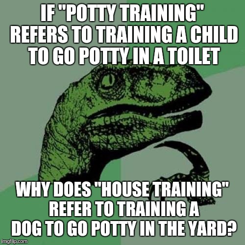 Philosoraptor Meme Imgflip