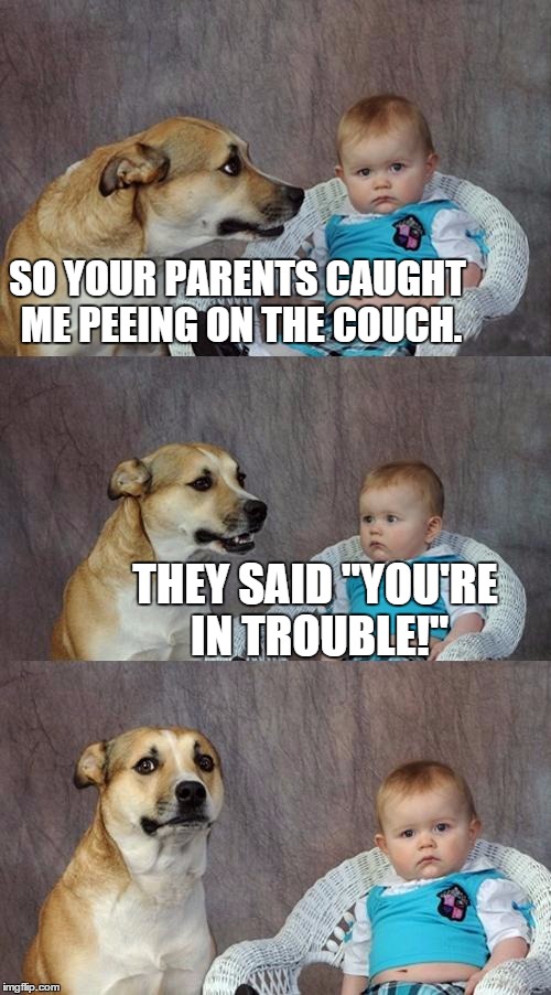 Dad Joke Dog Meme Imgflip