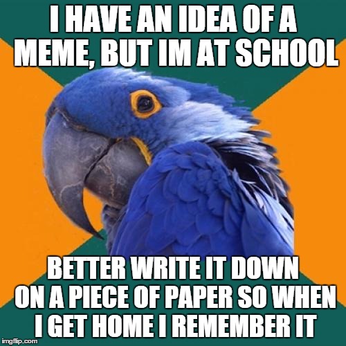 Paranoid Parrot Meme Imgflip
