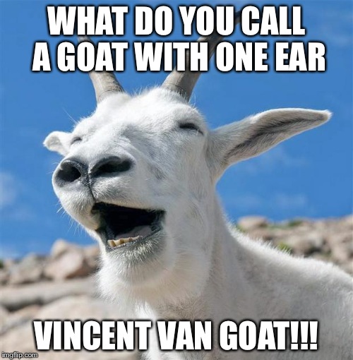 Laughing Goat Meme Imgflip