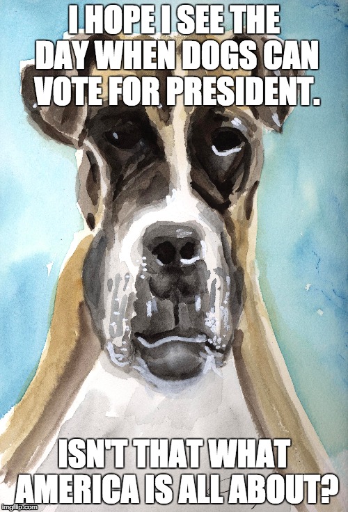 dogs should vote Imgflip