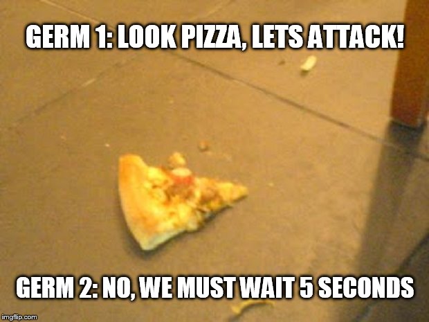 Image tagged in pizza,5 second rule Imgflip