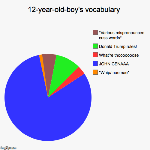 12-year-old-boy's vocabulary - Imgflip