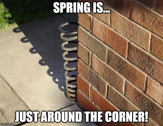 Spring is just around the corner. Imgflip