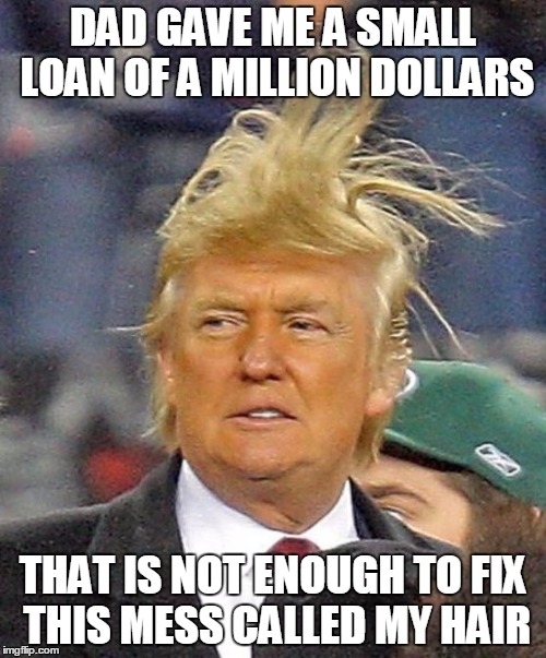 Donald Trumph hair Imgflip