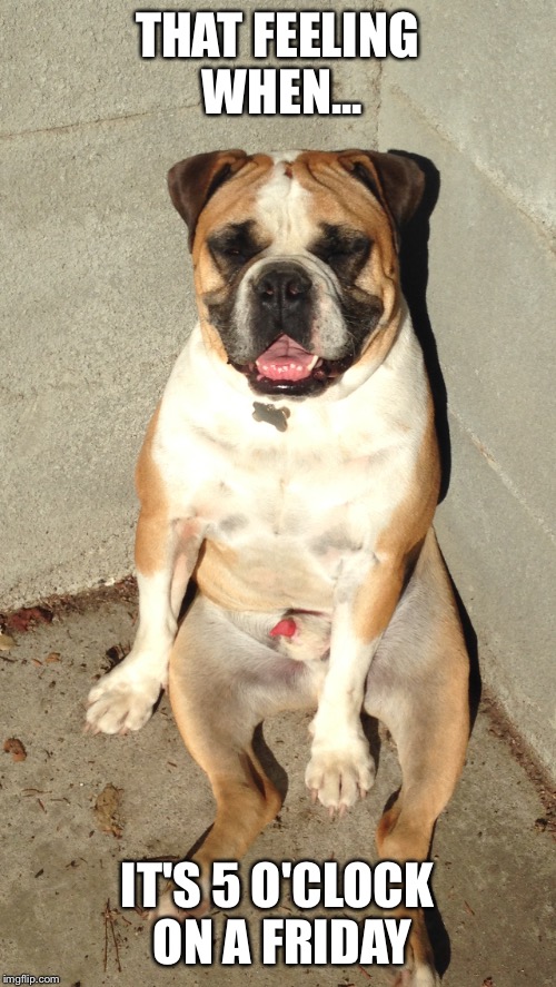 TGIF Imgflip