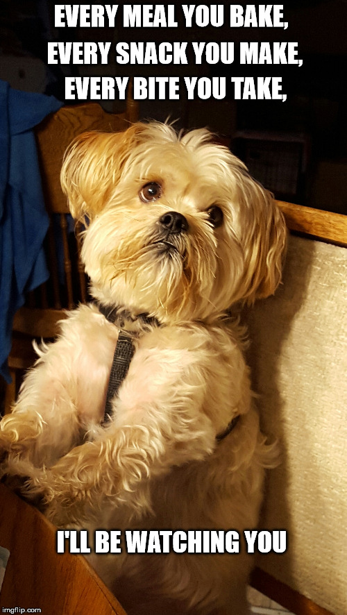 The Dinner Police Imgflip