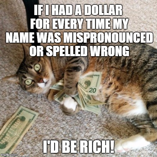 money cat Imgflip
