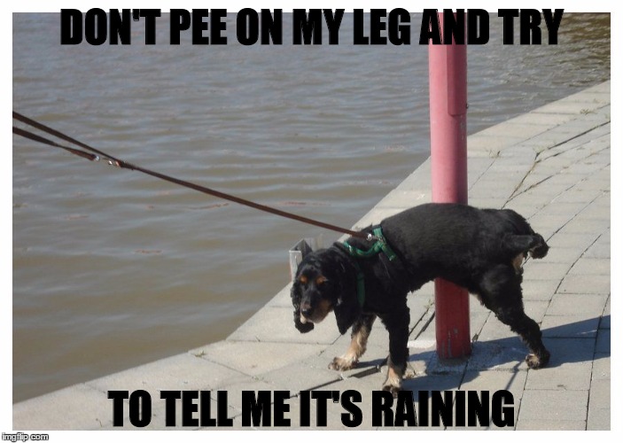 don't lie to me Imgflip