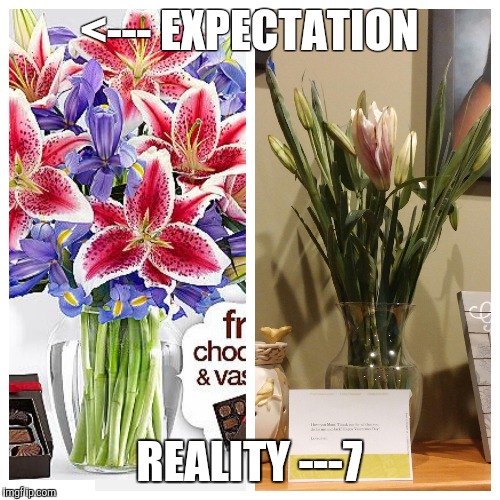 Image tagged in flower,expectation vs reality,sexy,valentine's day