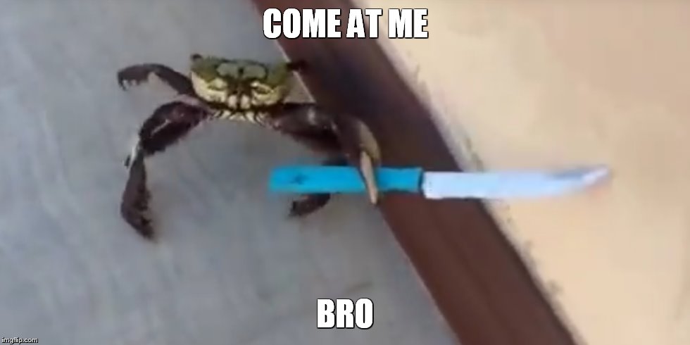 crab Imgflip