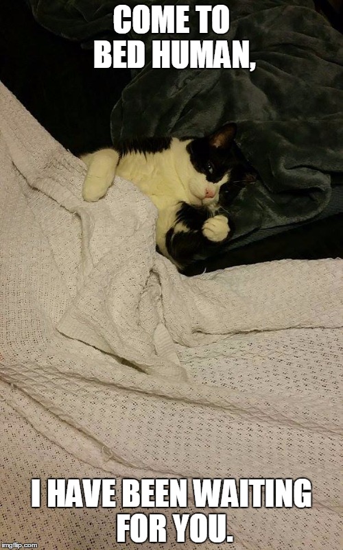 Image tagged in aw yus Imgflip