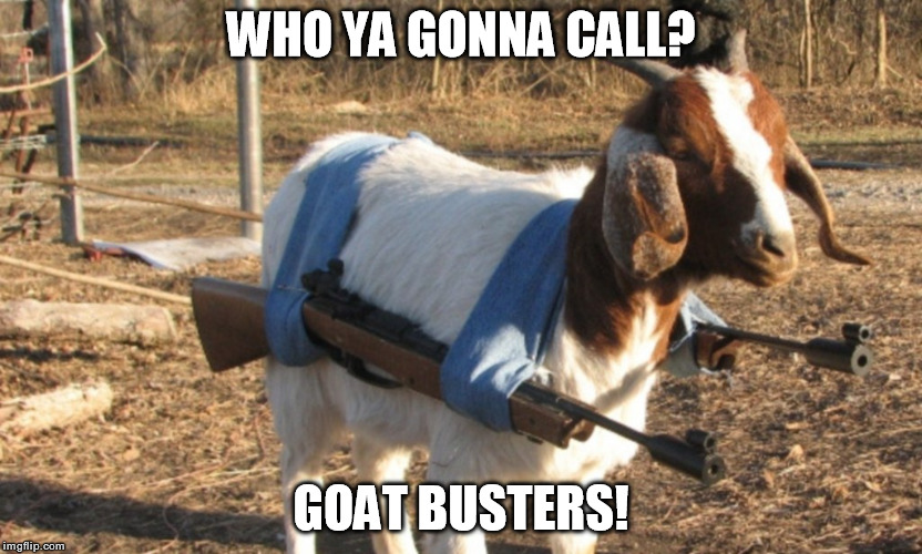 Who ya gonna call? Goat Busters! Imgflip