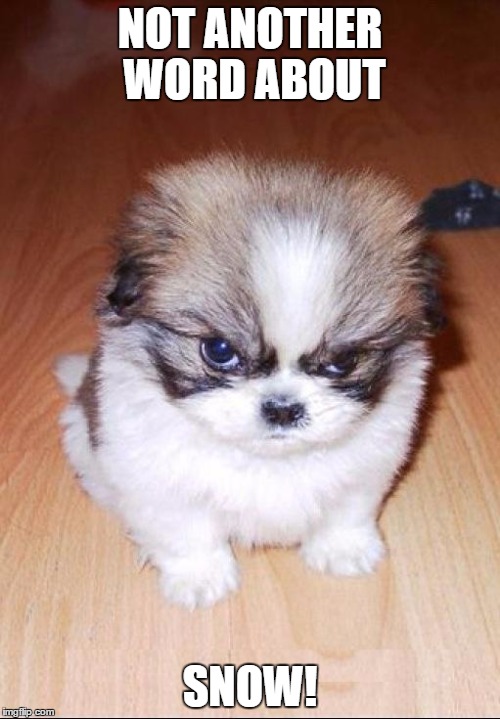 Fluffy Destroyer of Worlds Imgflip