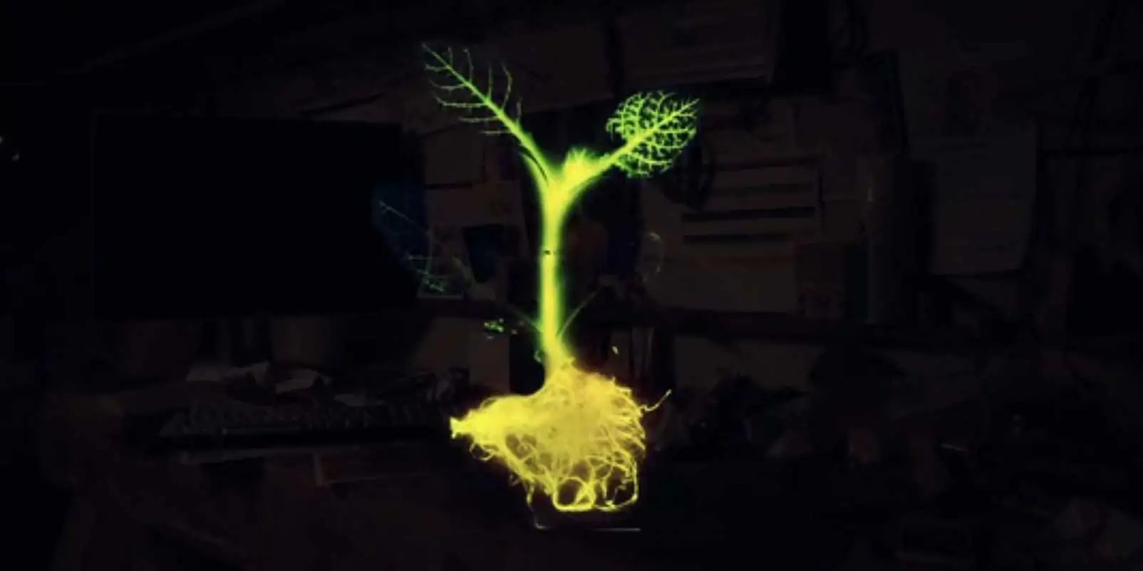 Glowing Plants Kickstarter Controversy Business Insider