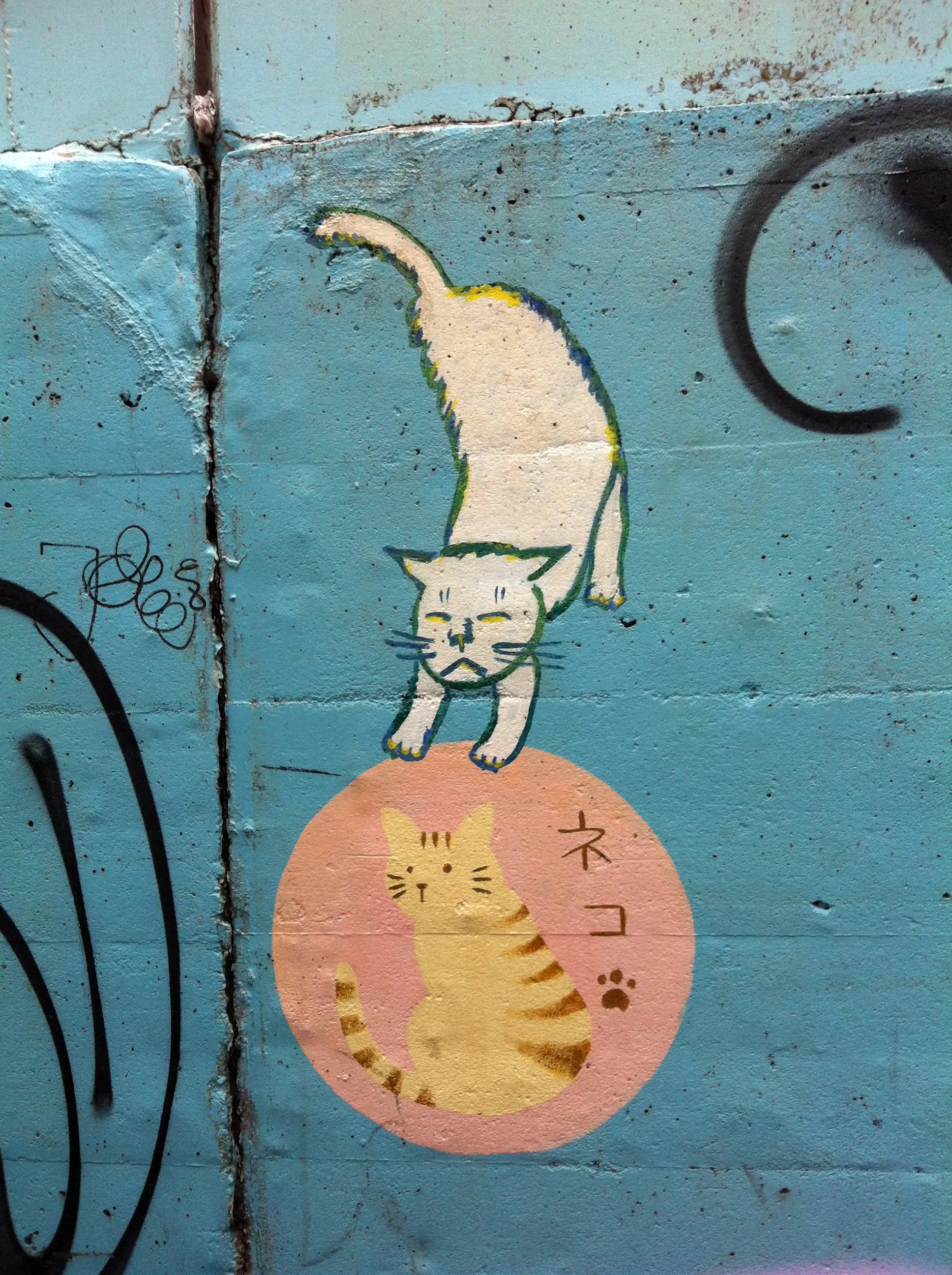 Japan Is Obsessed With Cats Business Insider