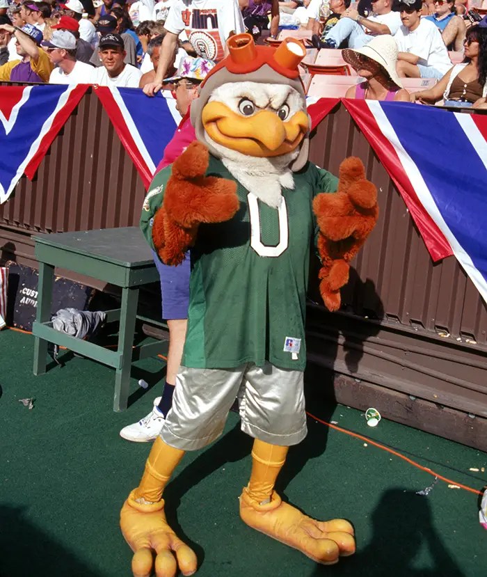 What on earth is this mascot? New York Jets