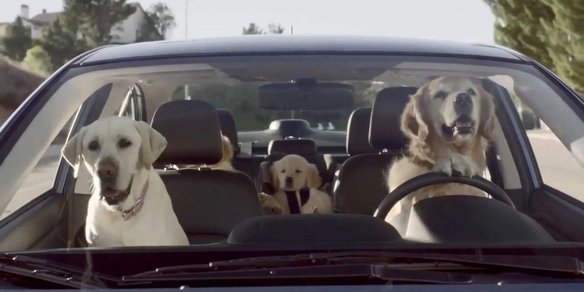 Subaru Dog Tested Campaign