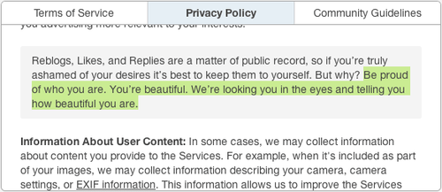 Tumblr's New Terms of Service Is Inspiring and Funny