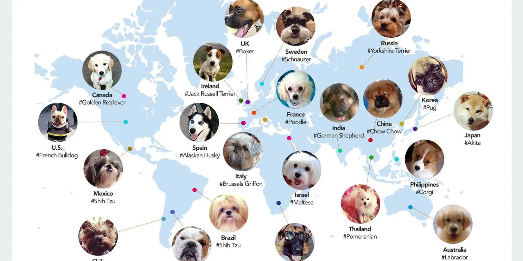Most Popular Dog Breeds by Country Business Insider