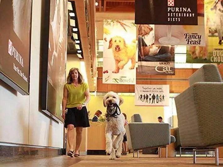 Best Places To Work In 2015 Business Insider