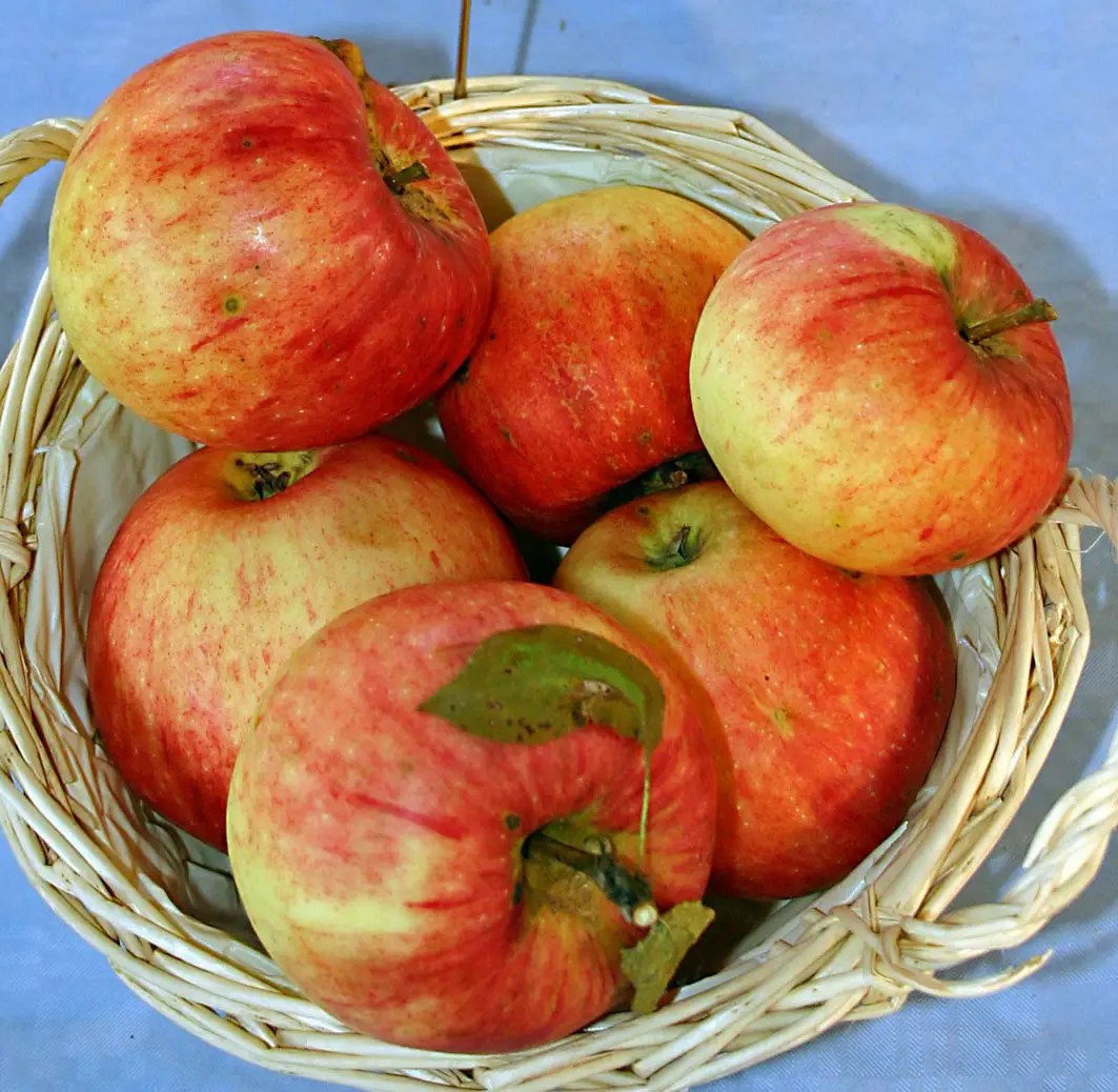 Which foods should be refrigerated Business Insider