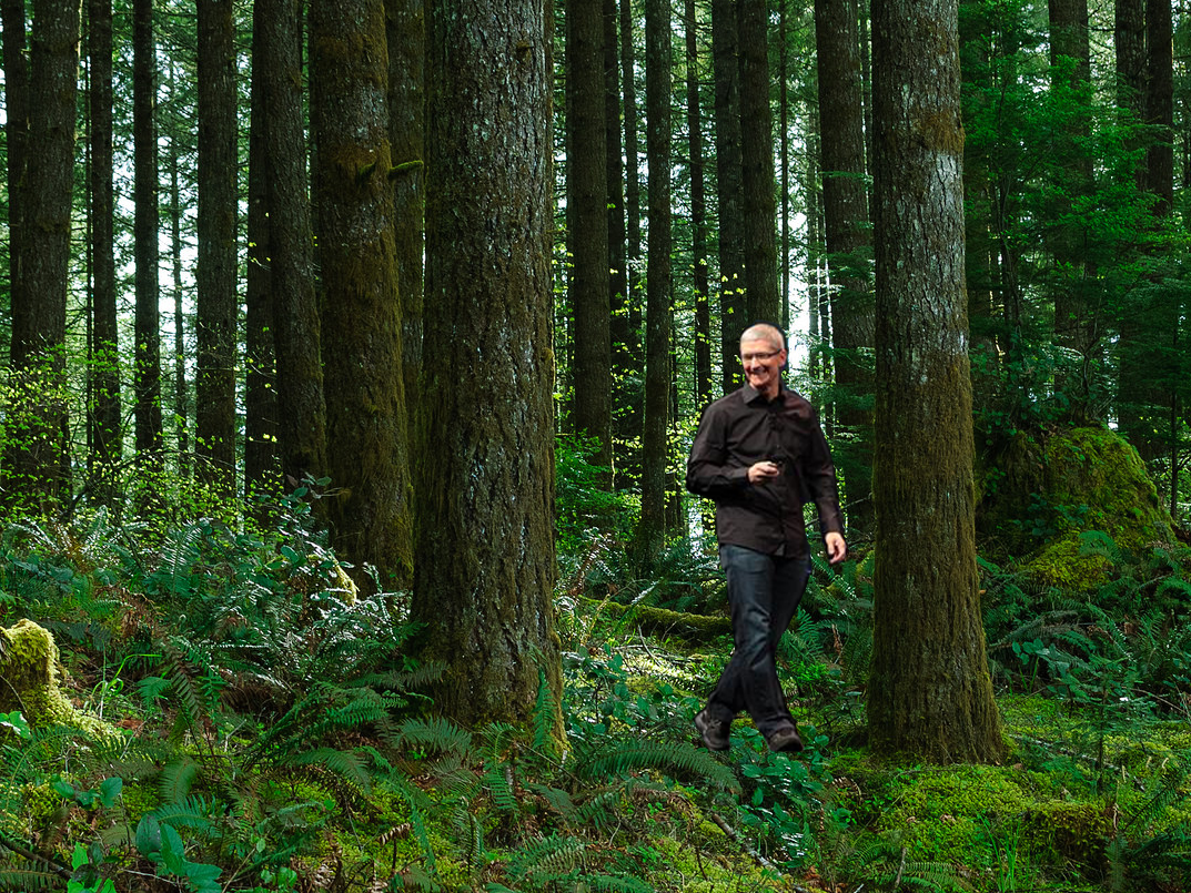 Why Apple just bought 36,000 acres of forestland