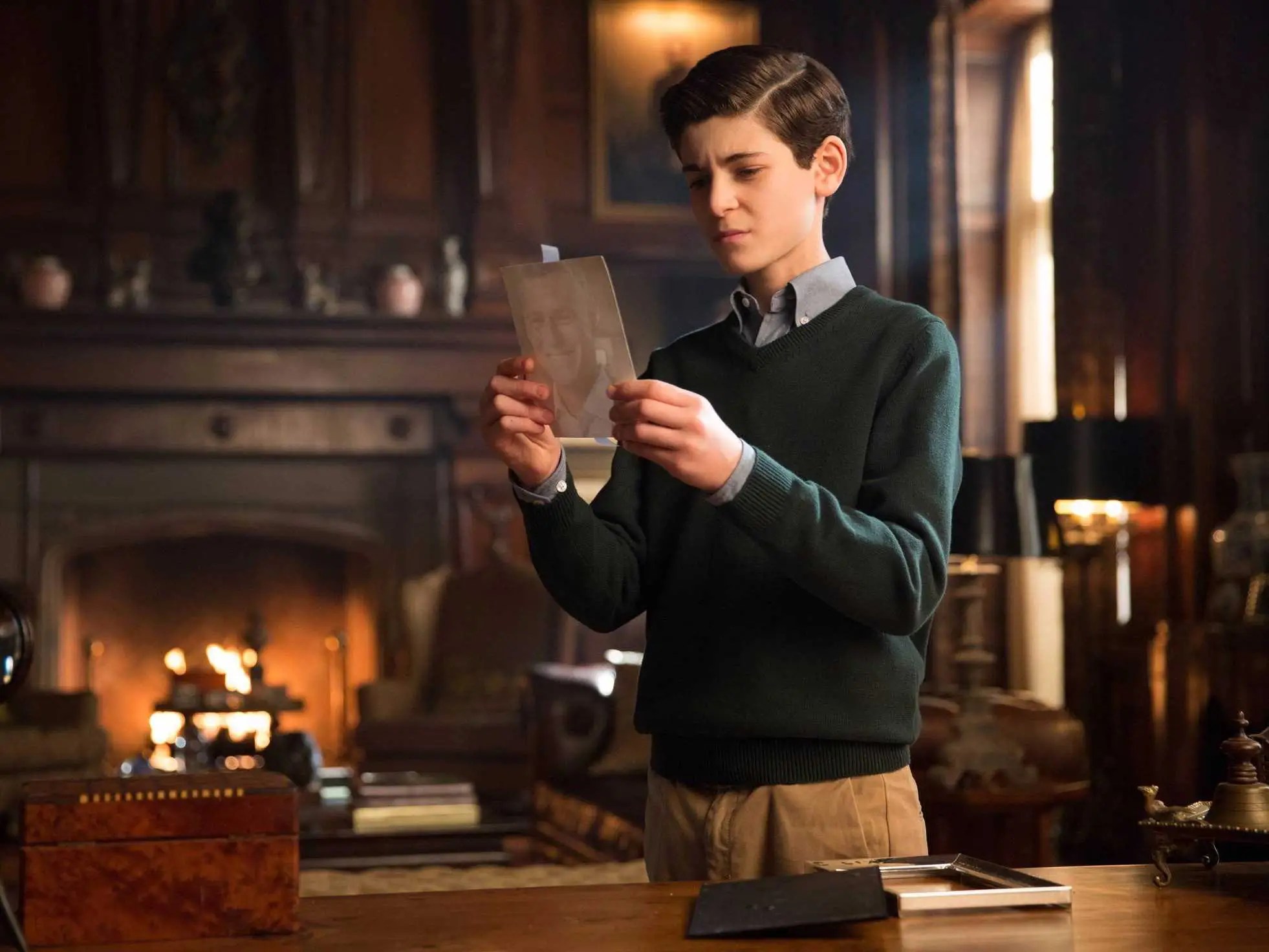 Gotham Fox Bruce Wayne