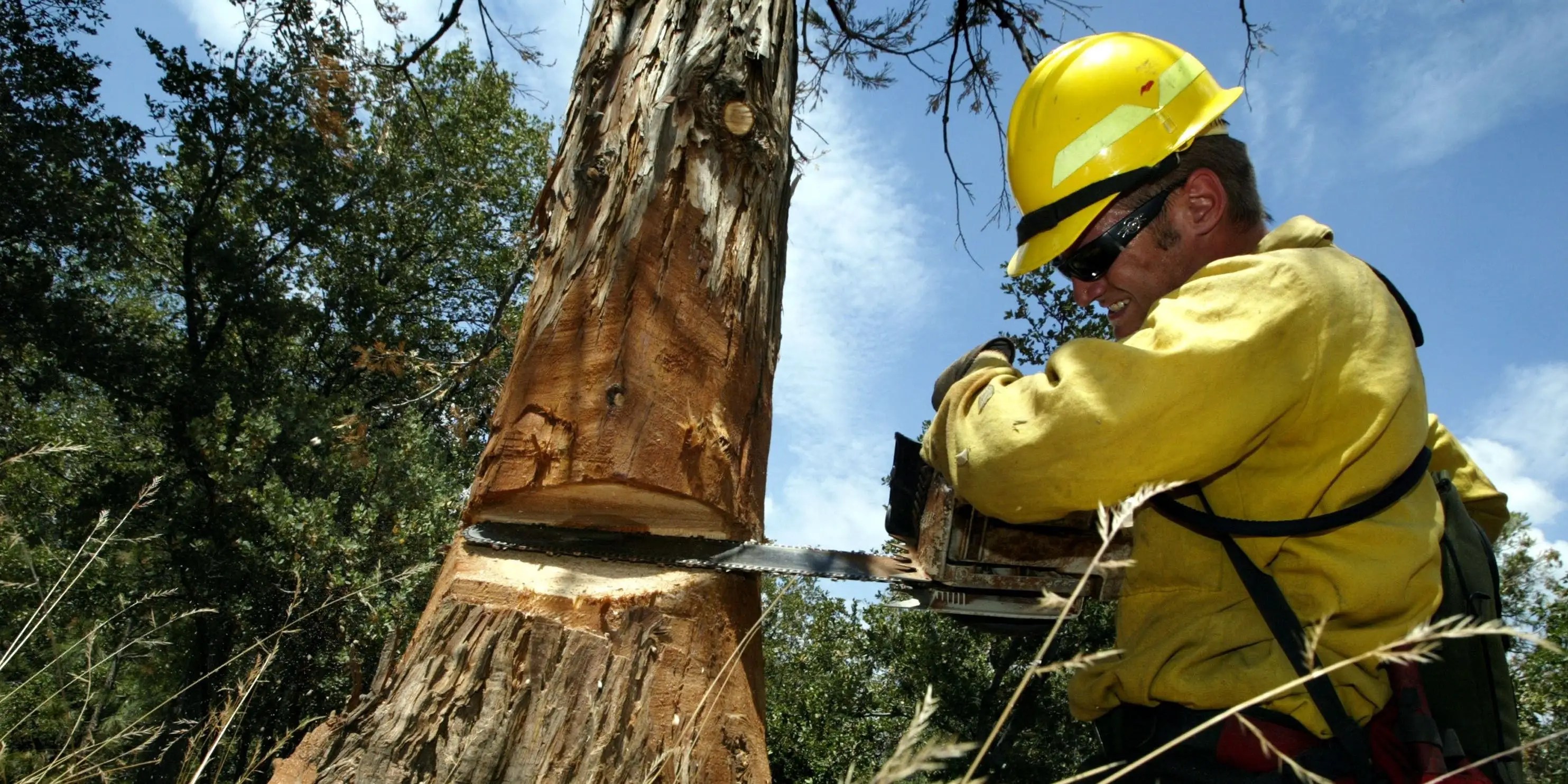 The Deadliest Jobs in America, Based on Workplace Fatalities