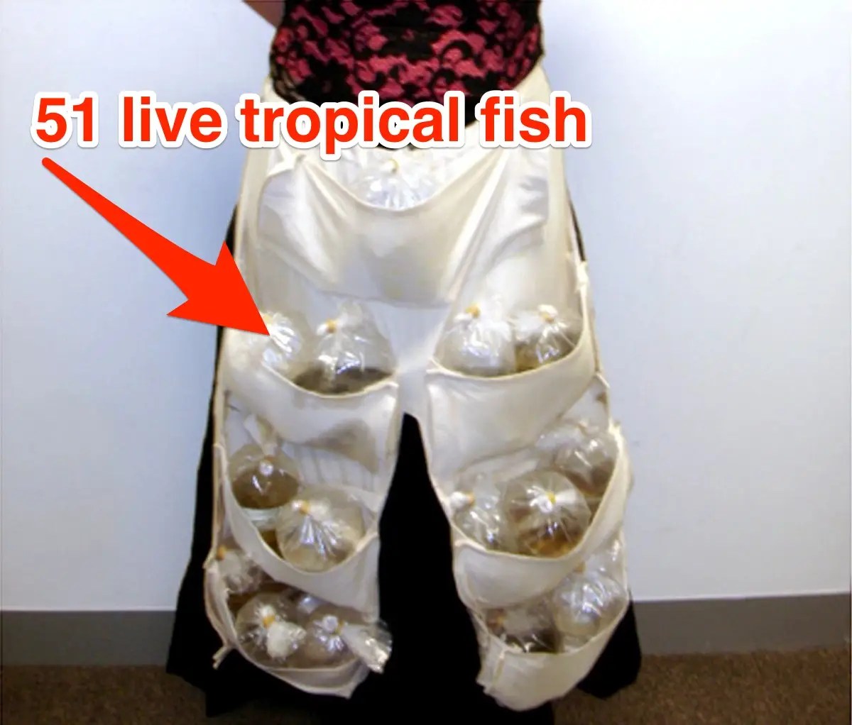 15 bold smuggling attempts on camera