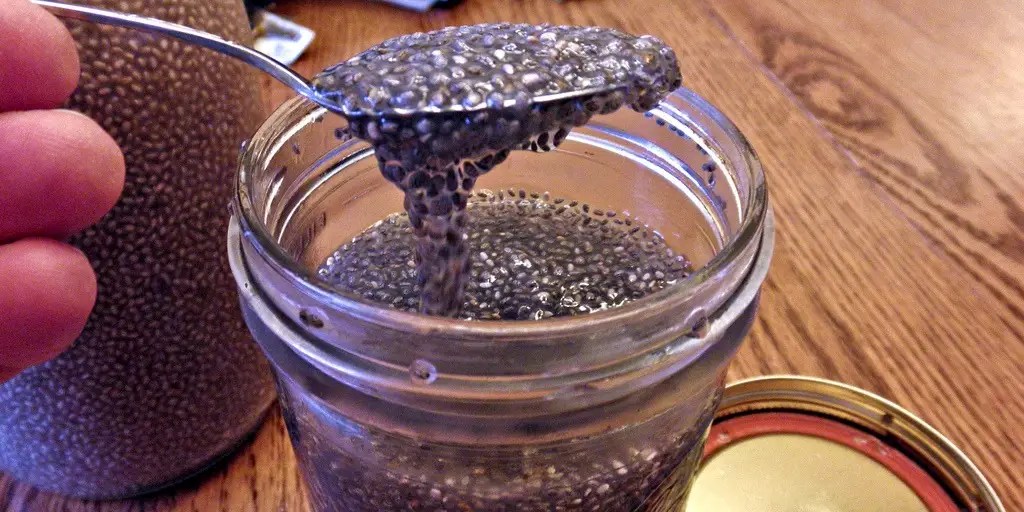 Can Dogs Eat Chia Seeds