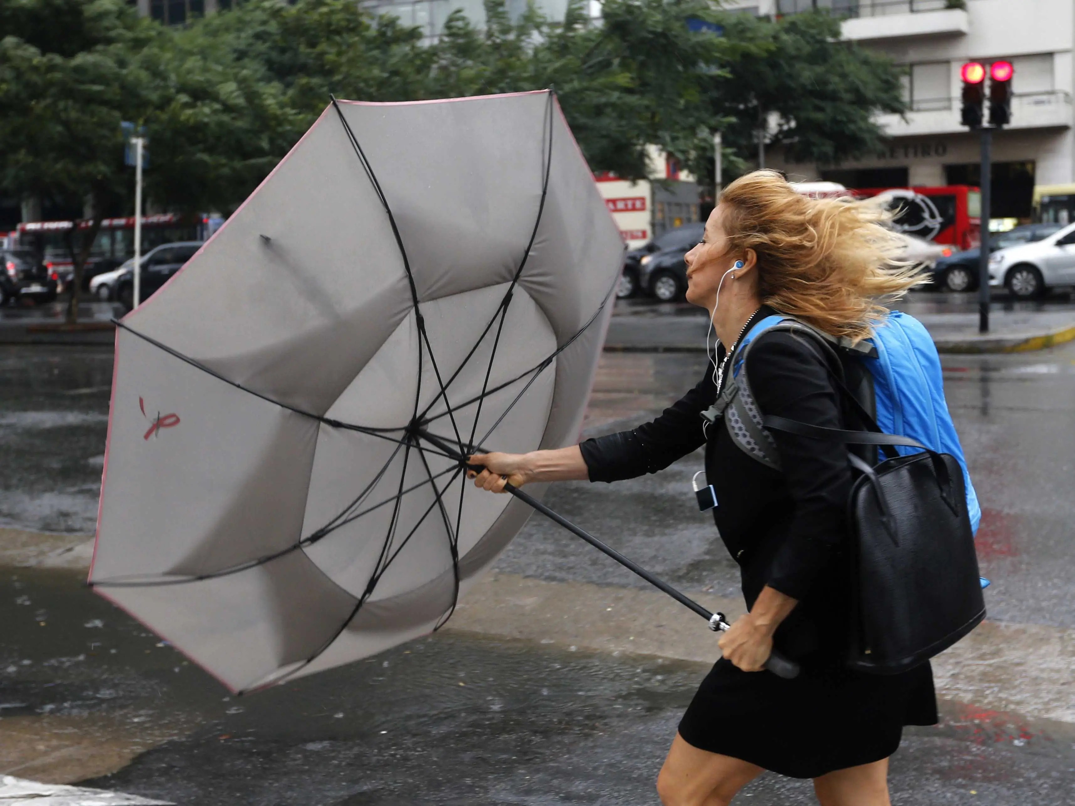 Are Dollar Store Dog Treats Safe