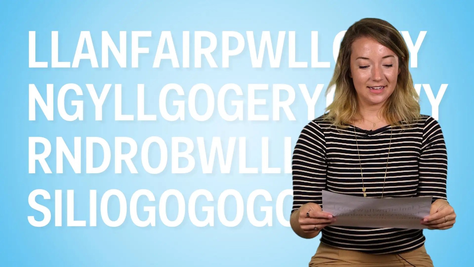 How Should Dogs Wear Pants Meme