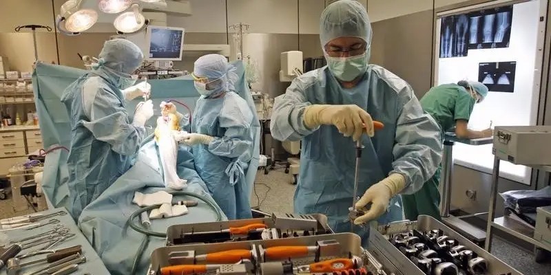 Surgeons, Dentists, and Other HighPaying Jobs for Doctors