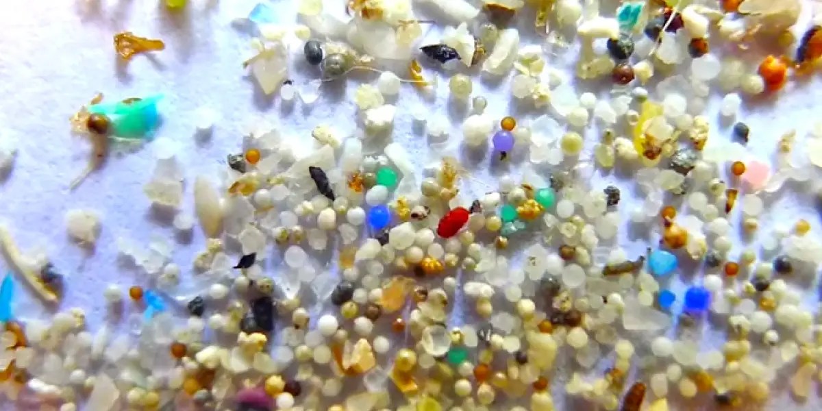 NYC Wants to Ban Microbeads in Face Wash Business Insider